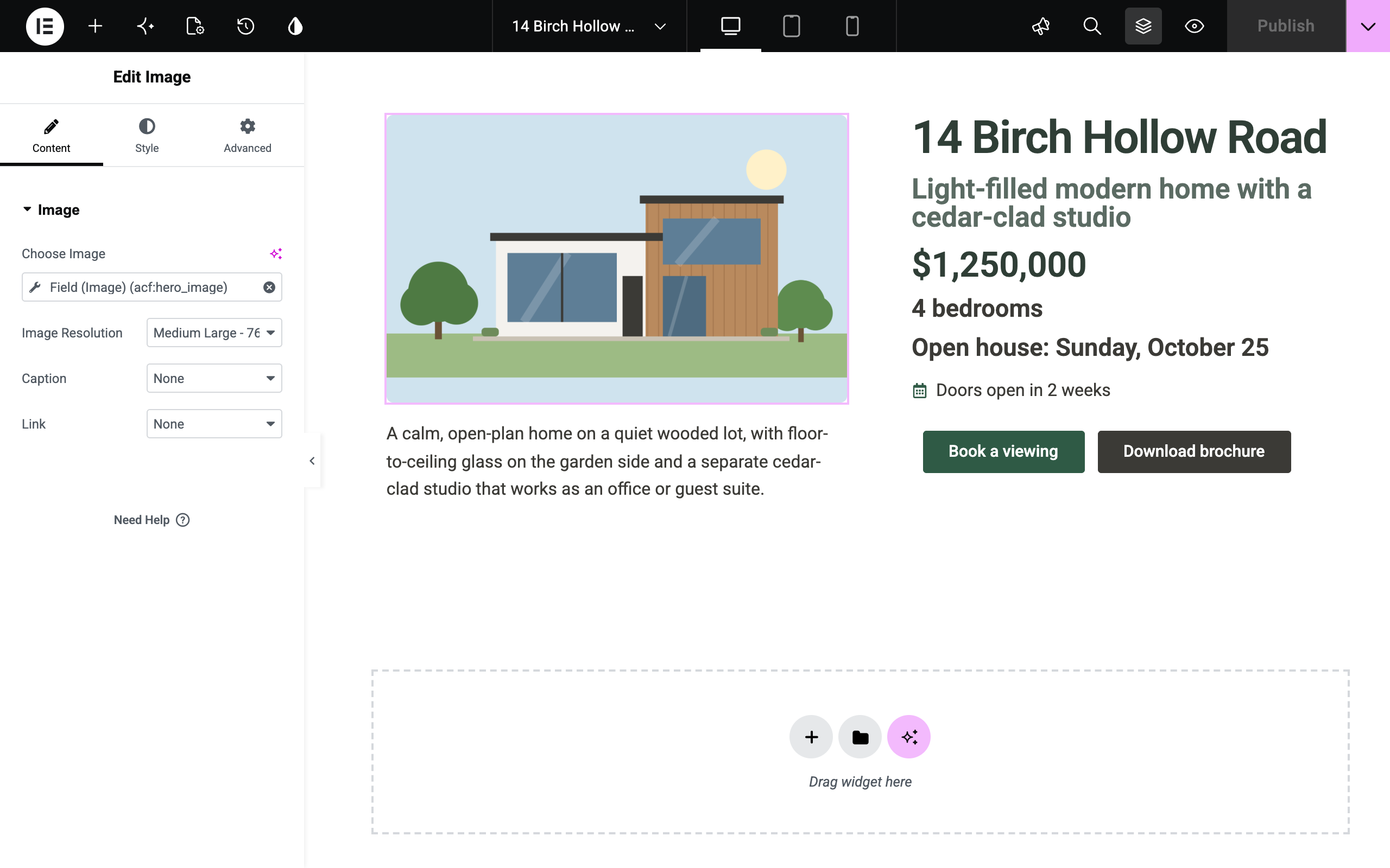 Show an image field in the free Image widget with Field (Image), sized by the widget.