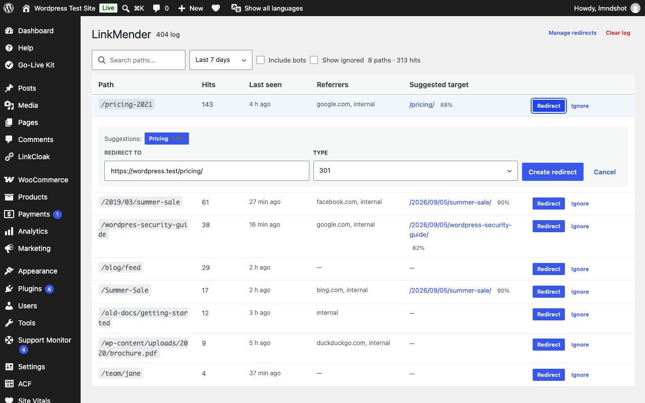 404 log with hit counts, referrers and suggested redirect targets.