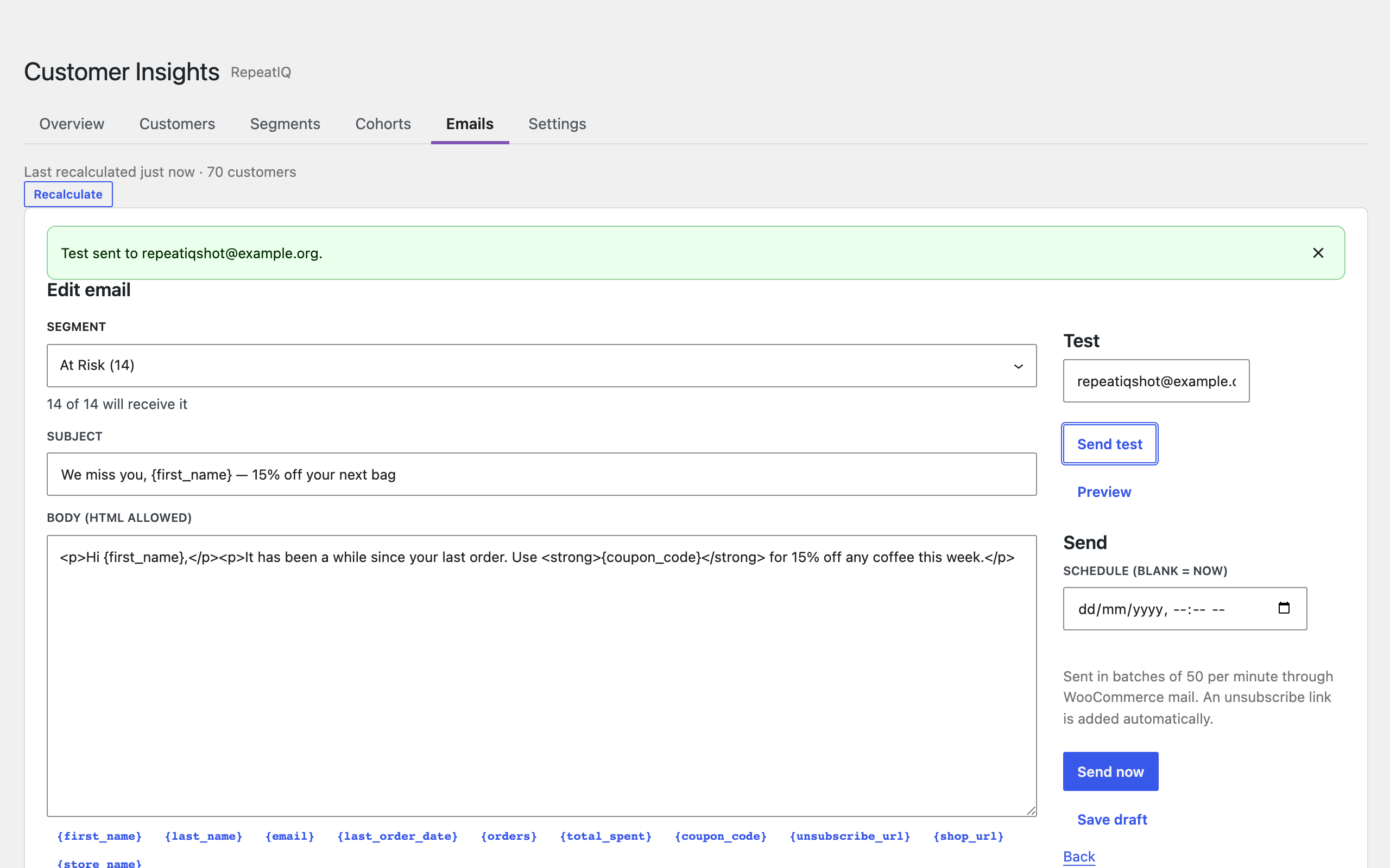 Segment email composer with merge tags and consent summary.